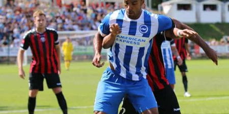 Sportwetten Tipp Brighton & Hove Albion – Wolverhampton Wanderers 1.1.2016